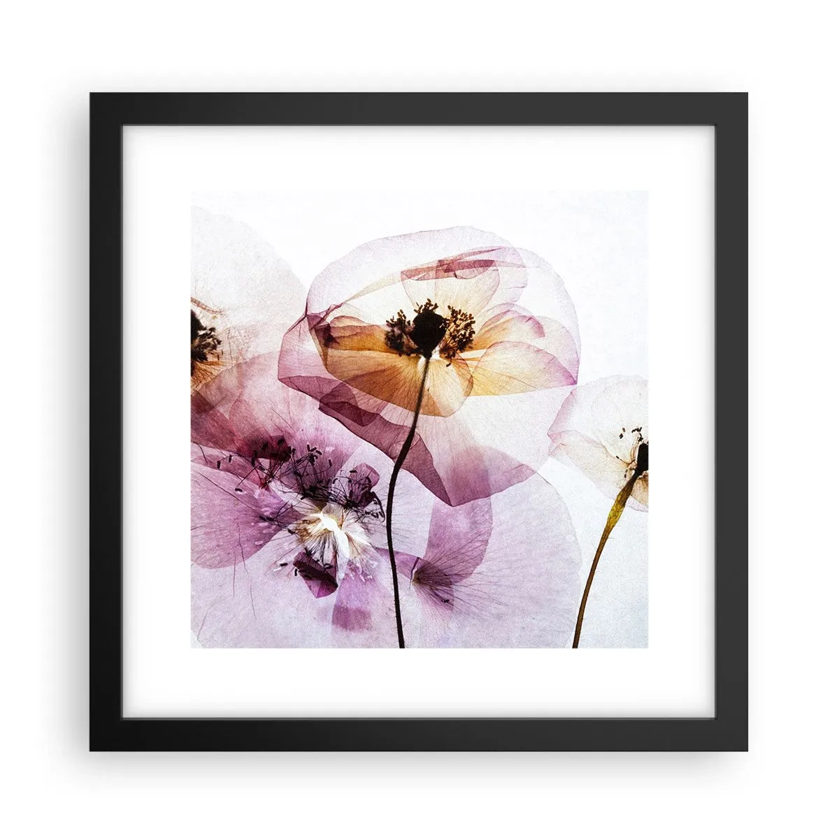 Poster in een zwarte lijst - Transparante lichaamsbloemen - 30x30 cm