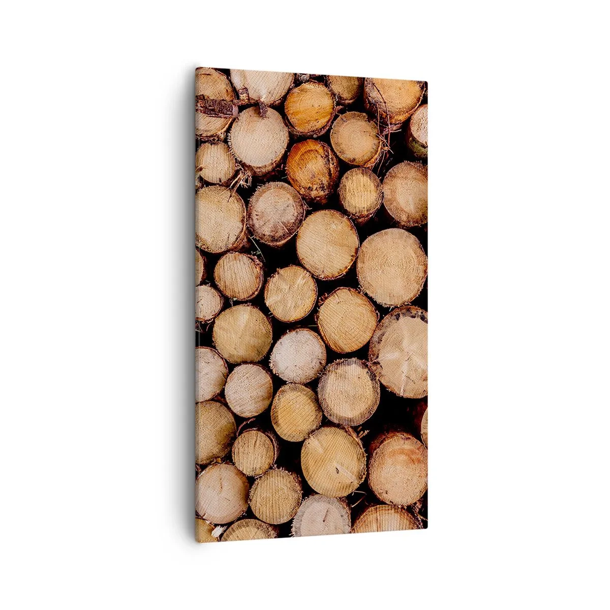 Schilderen op canvas - Een nieuw begin - 55x100 cm