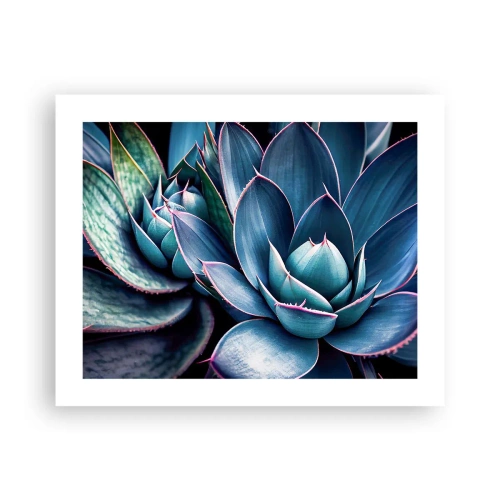 Poster - Levenskracht - 50x40 cm