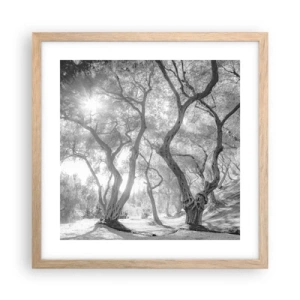 Een poster in een licht eiken lijst - In de olijfboomgaard - 40x40 cm