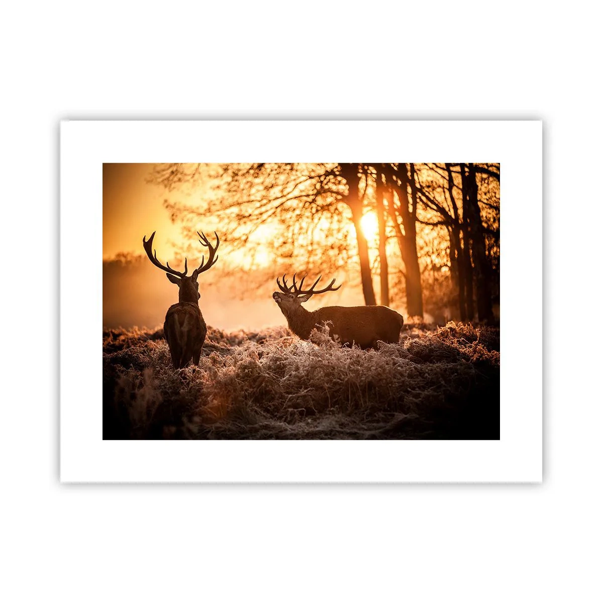 Poster - De droom van een jager - 40x30 cm