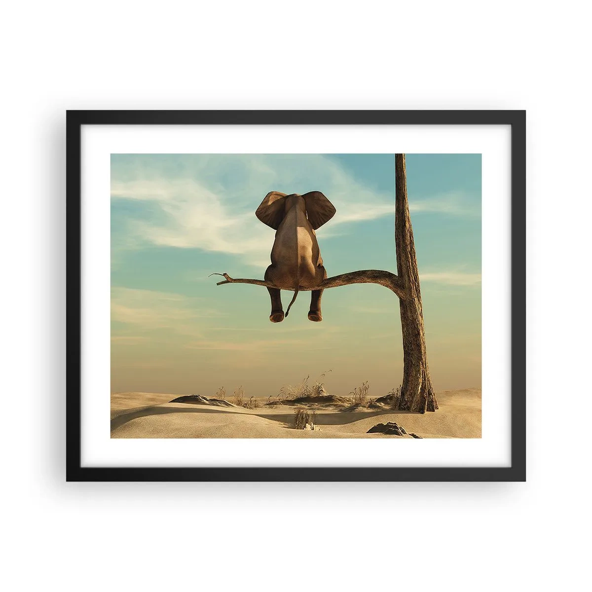 Poster in een zwarte lijst - Een nieuw gezichtspunt - 50x40 cm