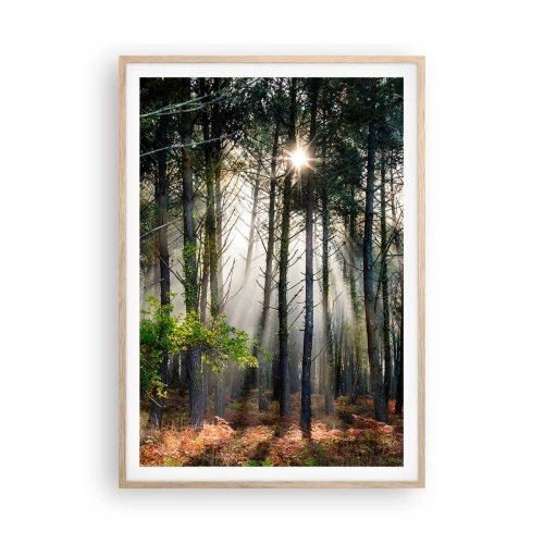 Een poster in een licht eiken lijst - Heilige bosplek - 70x100 cm