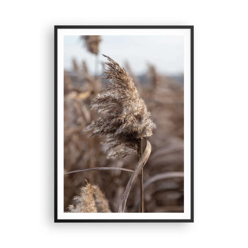 Poster in een zwarte lijst - Tijd om met de wind mee te gaan - 70x100 cm