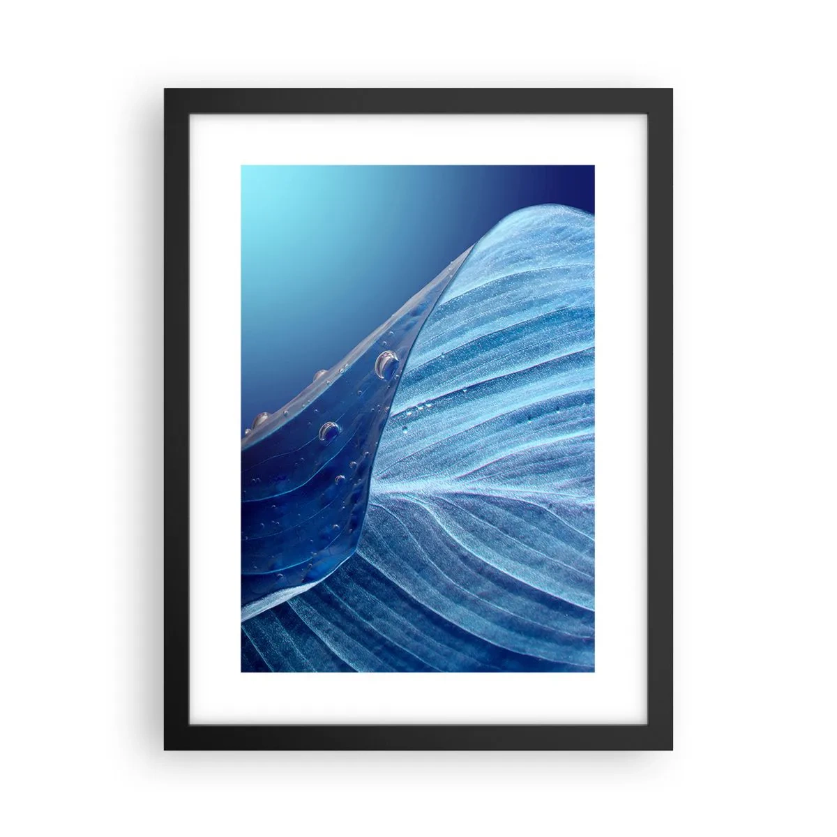 Poster in een zwarte lijst - Verborgen druppels blauw - 30x40 cm