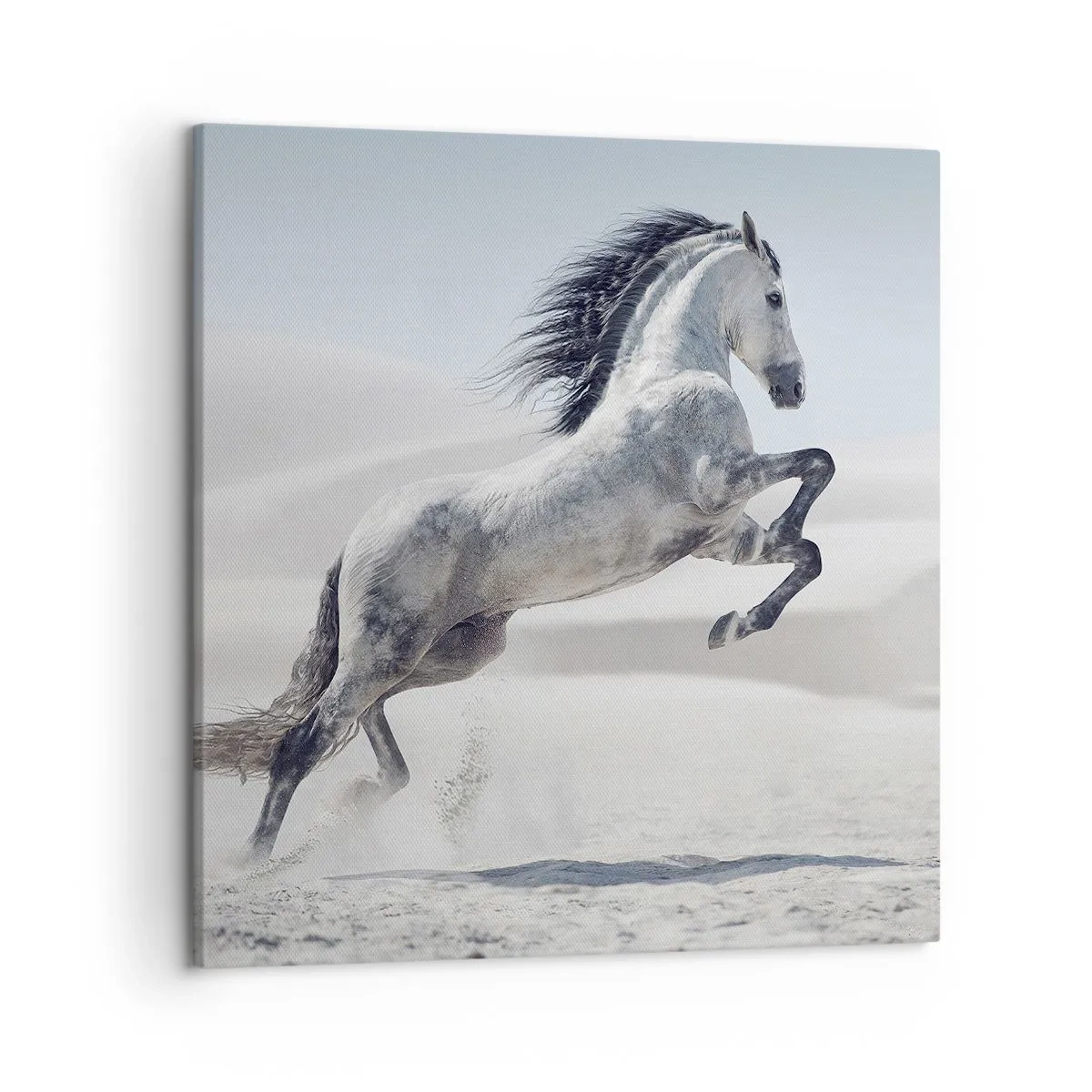 Schilderen op canvas - Arabische prins - 50x50 cm