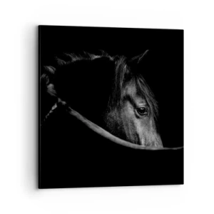 Schilderen op canvas - Zwarte Prins - 70x70 cm