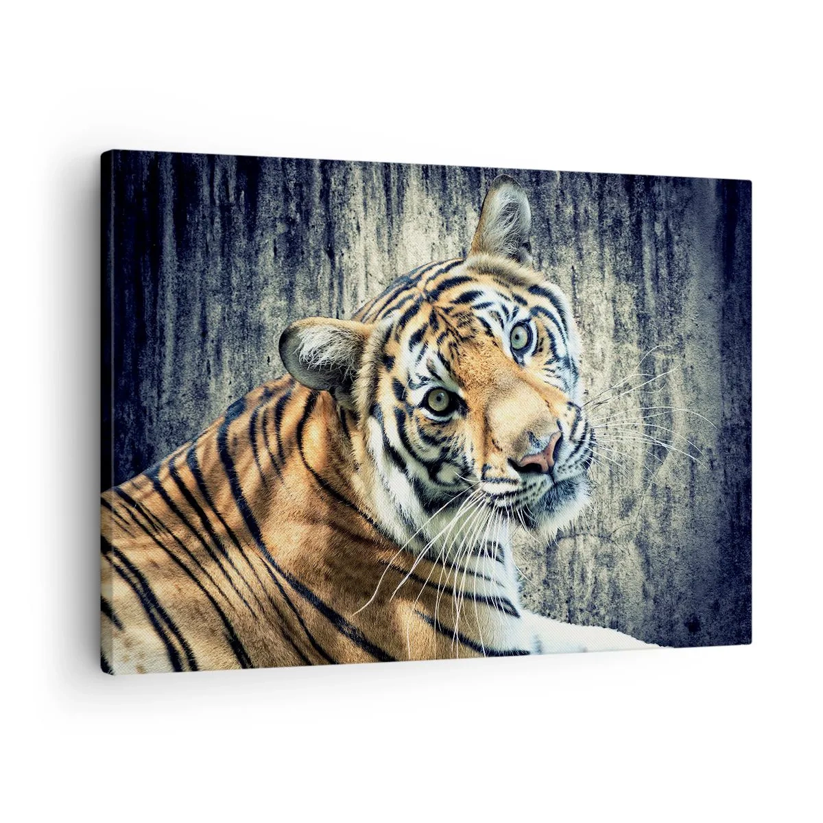 Schilderen op canvas - Een tijger die tegen een ruwe muur ligt - 70x50cm - Portret in stromen van licht - Moderne wanddecoratie voor woonkamer en slaapkamer ARTTOR
