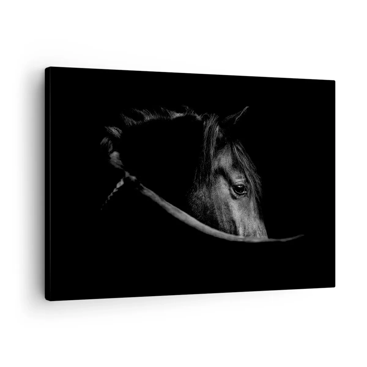 Schilderen op canvas - Een zwart-witportret van een paard met een subtiel spel van licht en schaduw tegen een donkere achtergrond. - 70x50cm - Zwarte Prins - Moderne wanddecoratie voor woonkamer en slaapkamer ARTTOR