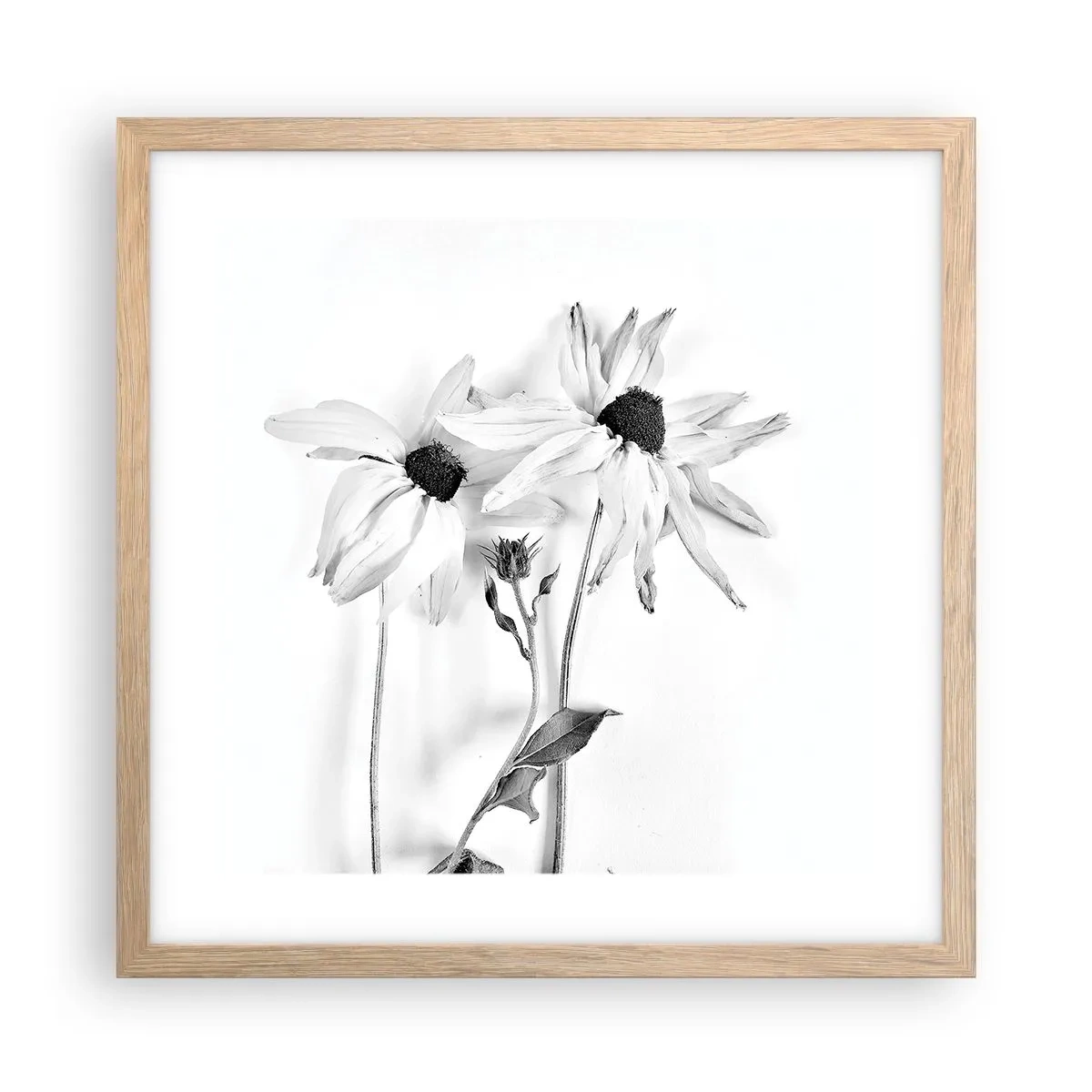 Een poster in een licht eiken lijst - Niemand wil alleen zijn - 40x40 cm