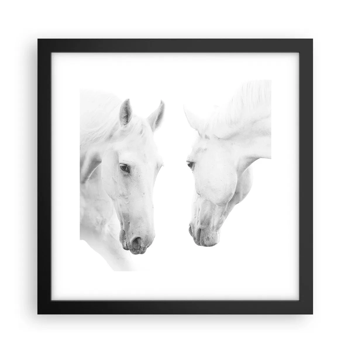 Poster in een zwarte lijst - Is dit vriendschap...? - 30x30 cm