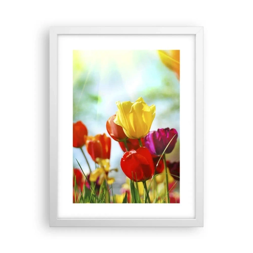 Poster in een witte lijst - Alle kleuren van de zon - 30x40 cm