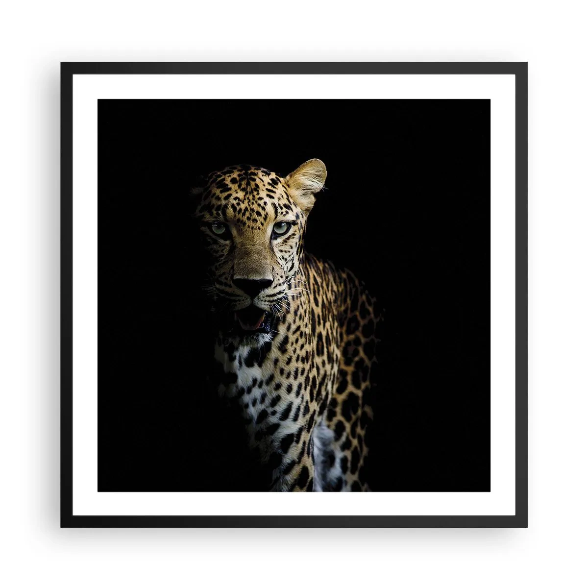 Poster in een zwarte lijst - Donkere schoonheid - 60x60 cm