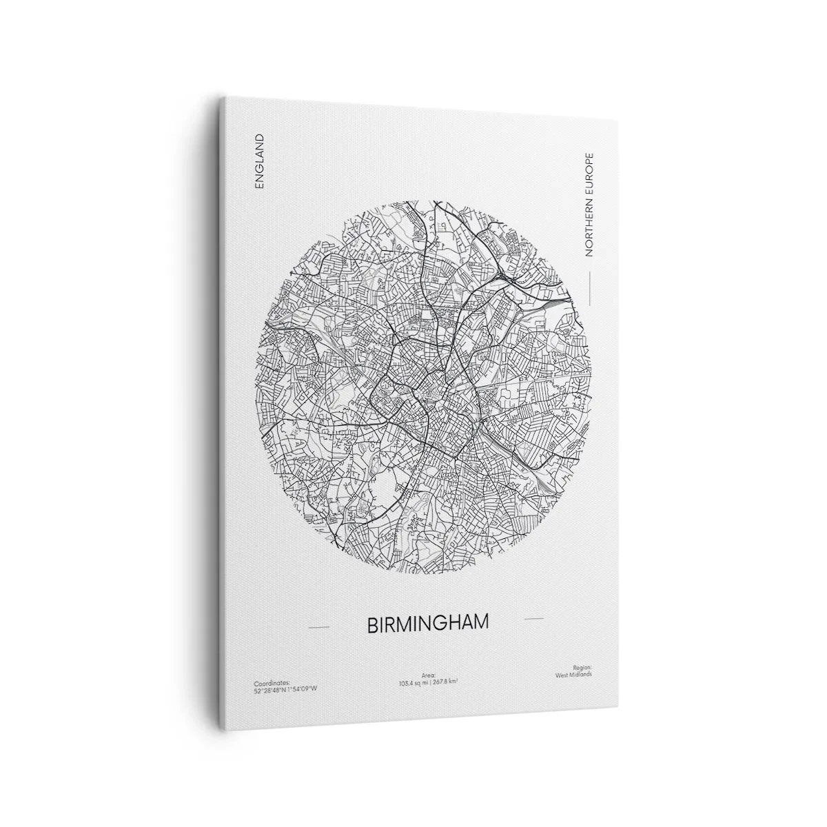 Schilderen op canvas - Anatomie van Birmingham - 50x70 cm