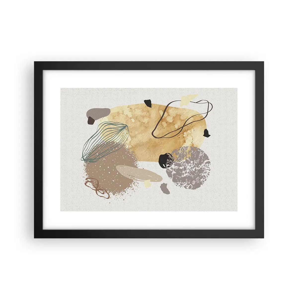 Poster in een zwarte lijst - Toegepaste plumcologie - 40x30 cm