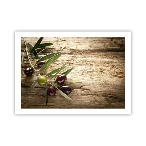 Poster - Rechtstreeks uit de natuur - 70x50 cm