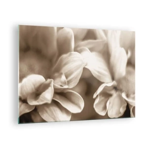 Schilderen op glas - Macrofotografie van lichte bloemblaadjes in sepia - 70x50cm - Zo zacht als een glimlach - Moderne wanddecoratie voor woonkamer en slaapkamer ARTTOR