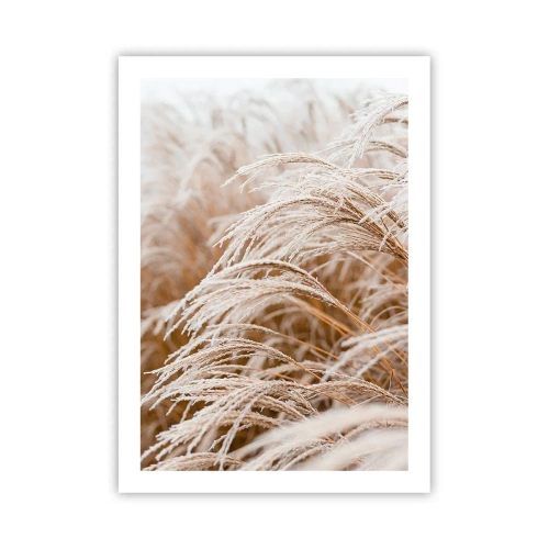 Poster - Buig je neer voor de herfstzon - 50x70 cm