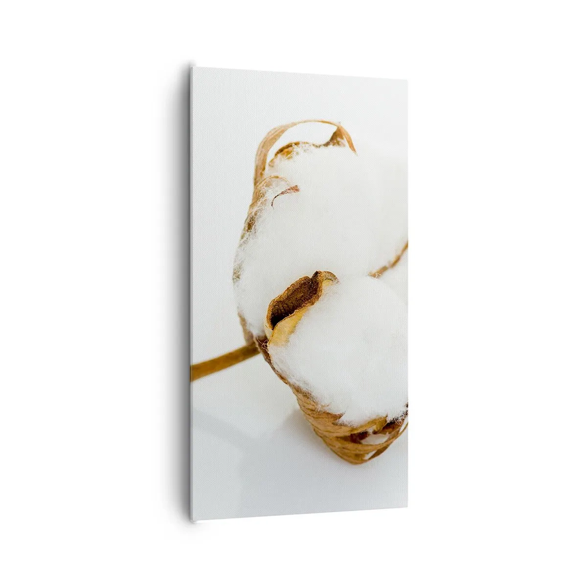 Schilderen op canvas - Zacht van aard - 65x120 cm