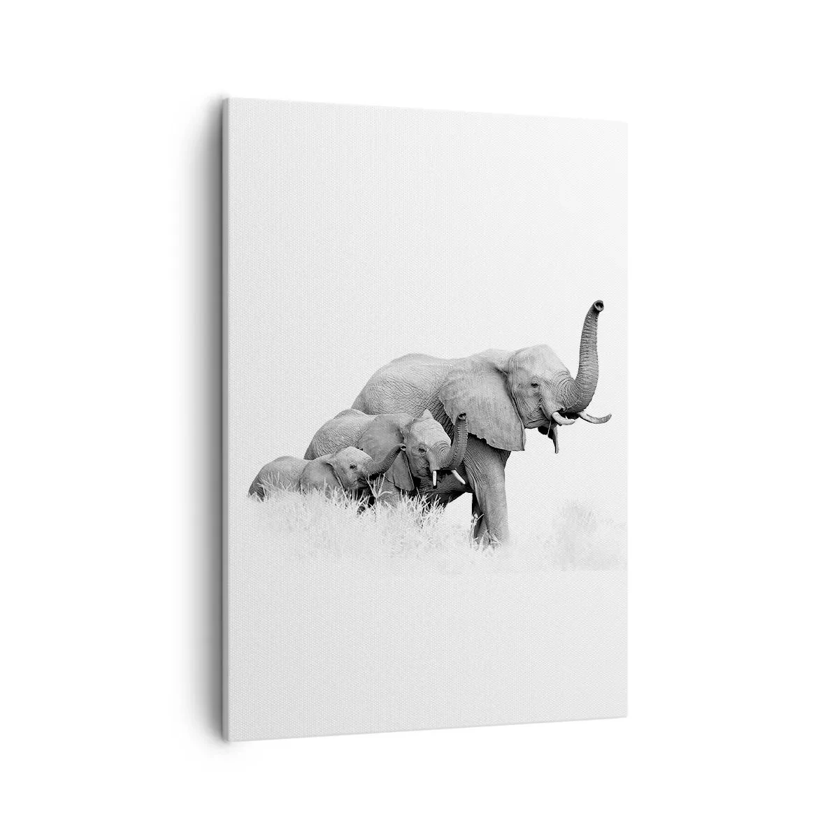 Schilderen op canvas - Een twee drie - 50x70 cm