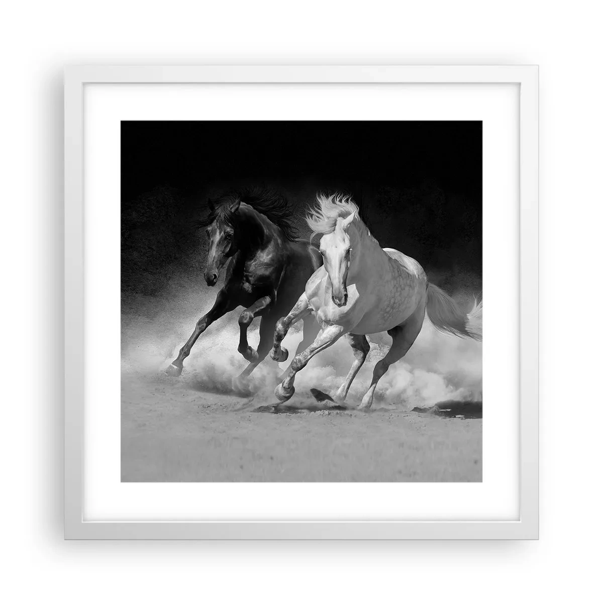 Poster in een witte lijst - Vrijheidsgalop - 40x40 cm