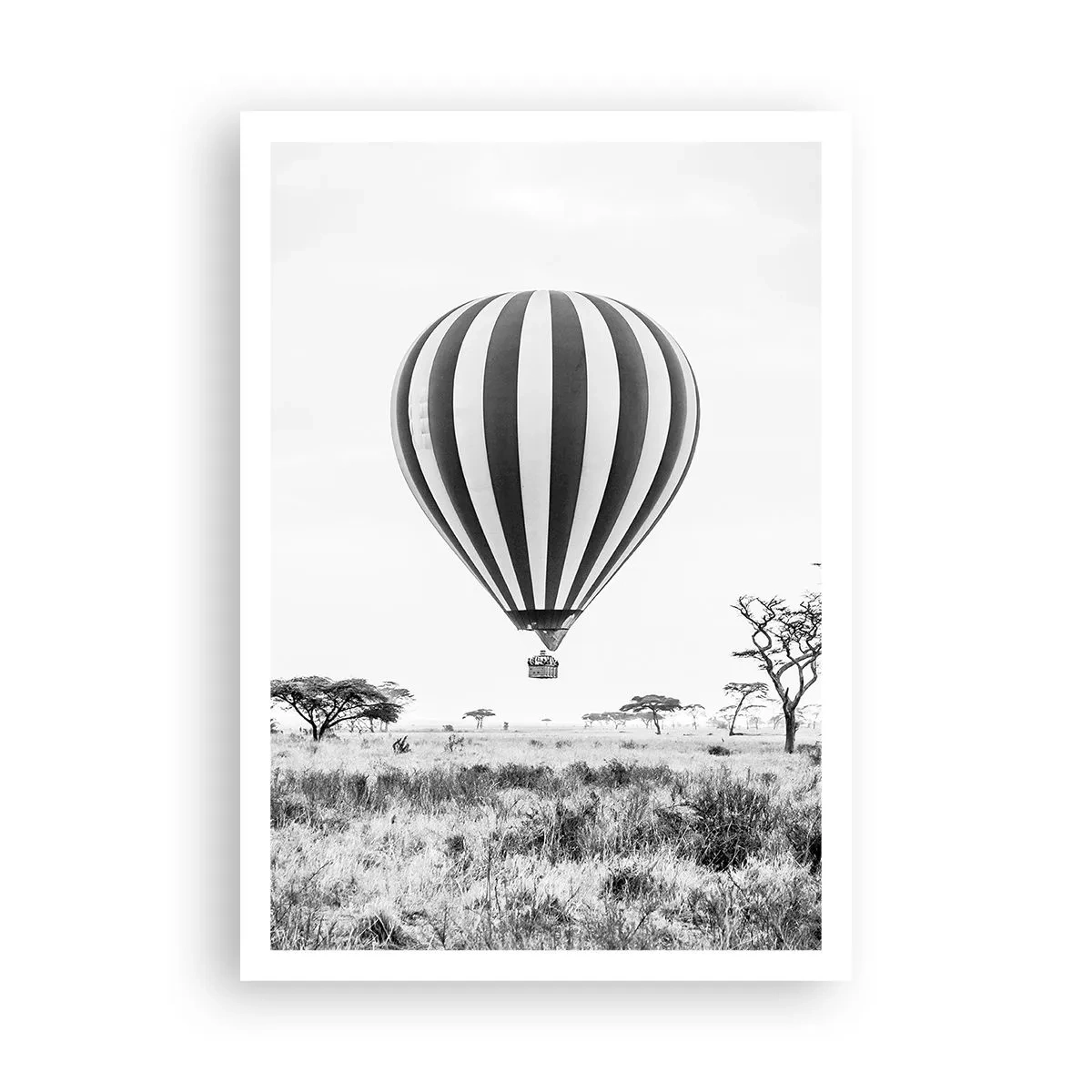 Poster - Boven de savanne - 70x100 cm