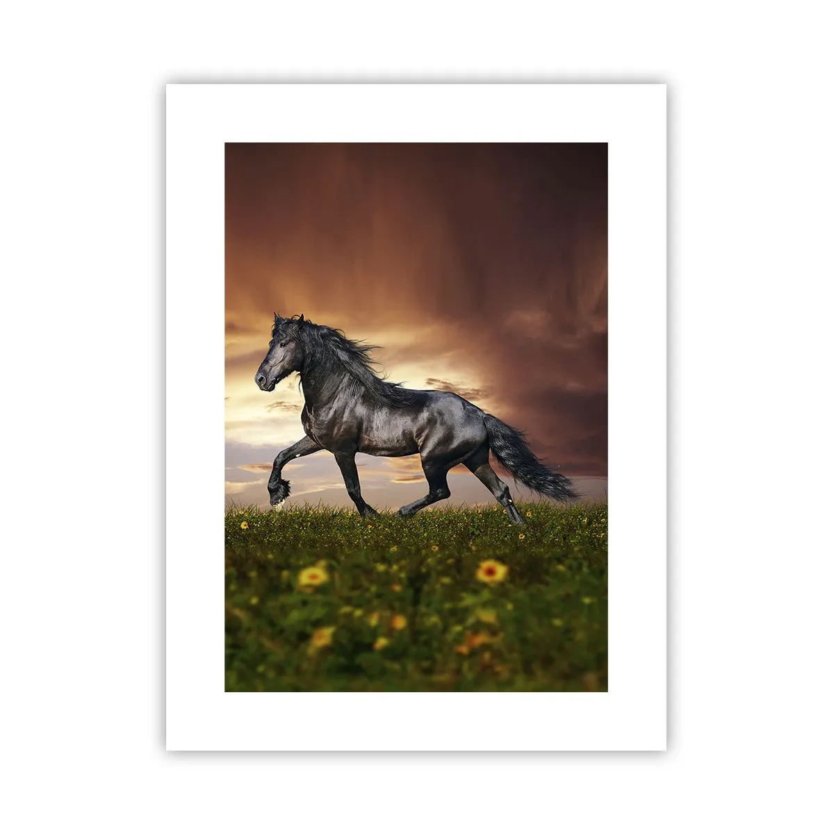 Poster - Zwarte Prins - 30x40 cm