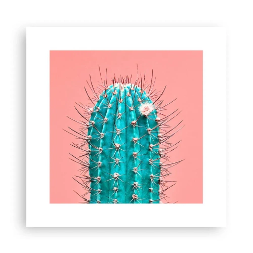 Poster - Kijk gewoon - 30x30 cm