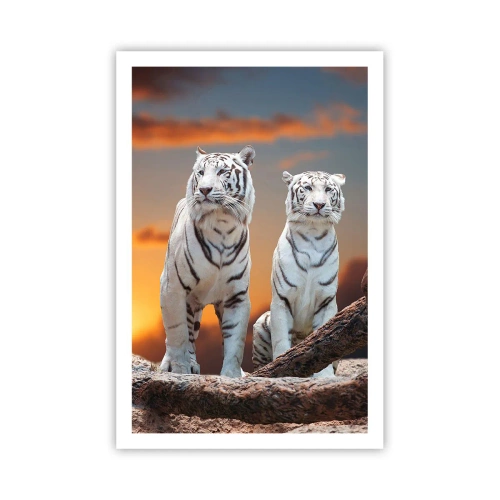 Poster - Net als in Narnia - 61x91 cm