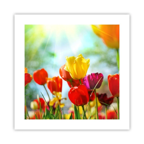 Poster - Alle kleuren van de zon - 40x40 cm