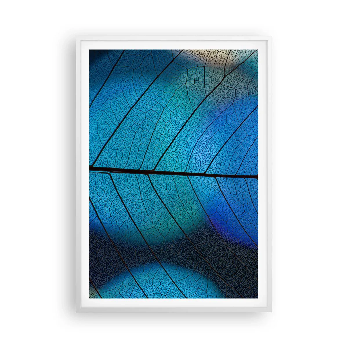 Poster in een witte lijst - Ingewikkelde constructie - 70x100 cm