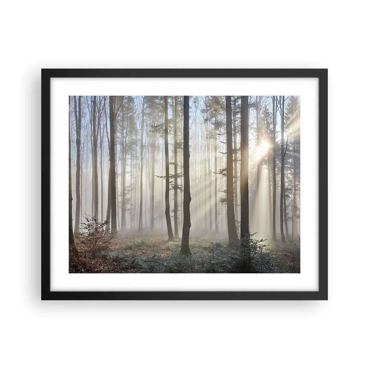Poster in een zwarte lijst - De mist werd ook wakker - 50x40 cm