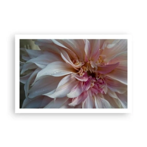 Poster - Bloeiende frisheid - 91x61 cm