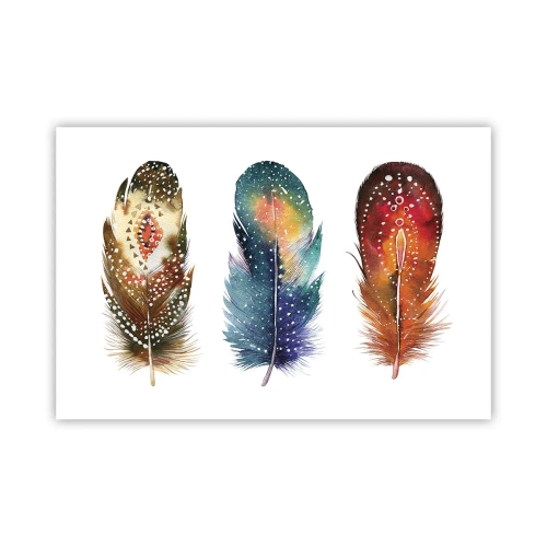 Poster - Rituelen, ceremonies, geheimen - 91x61 cm