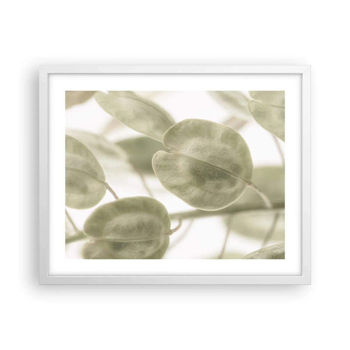 Poster in een witte lijst - In het begin waren er bladeren... - 50x40 cm