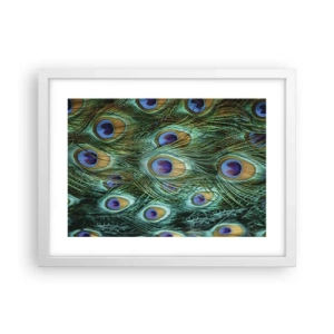 Poster in een witte lijst - Een pauwenooglook - 40x30 cm