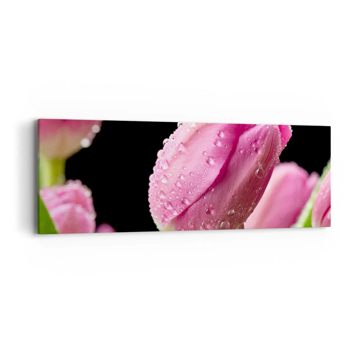 Schilderen op canvas - Lila droom in dauw - 90x30 cm