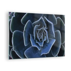 Schilderen op glas - Macrofotografie van een vetplant in tinten koelblauw - 70x50cm - Woestijn bloem - Moderne wanddecoratie voor woonkamer en slaapkamer ARTTOR