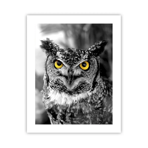 Poster - Niets zal zich verbergen - 40x50 cm