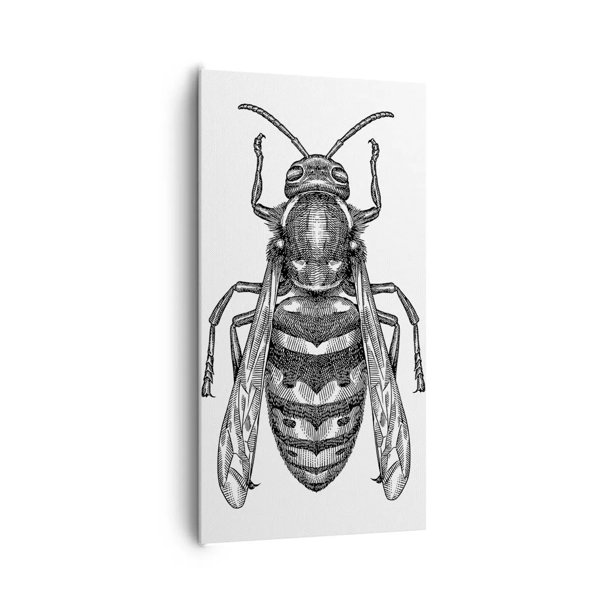 Schilderen op canvas - Van een insectenplaneet - 65x120 cm