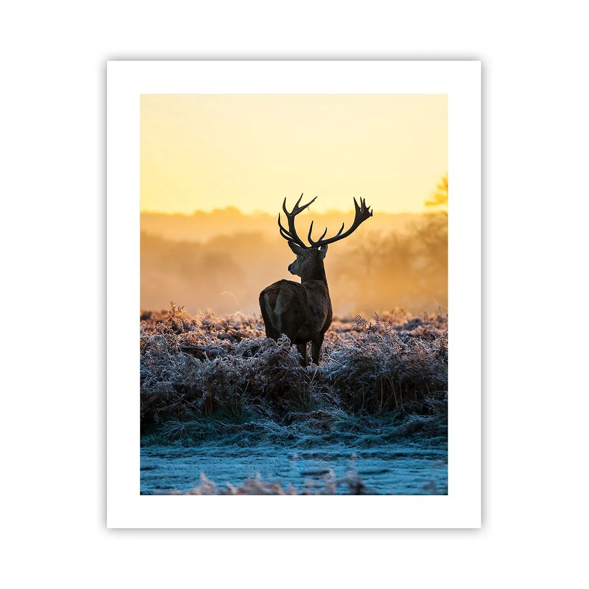 Poster - Gekroond op zijn landgoed - 40x50 cm