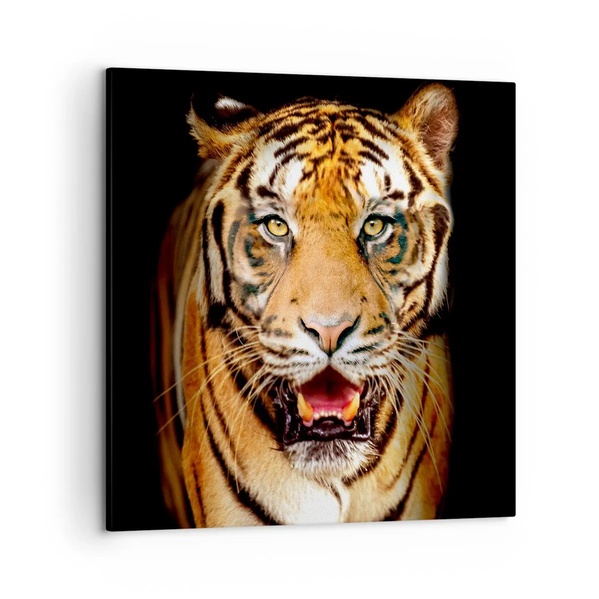 Schilderen op canvas - Wildheid in het hart - 50x50 cm