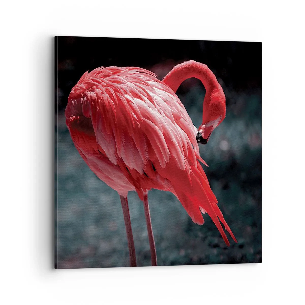 Schilderen op canvas - Een karmozijnrood gedicht van de natuur - 70x70 cm