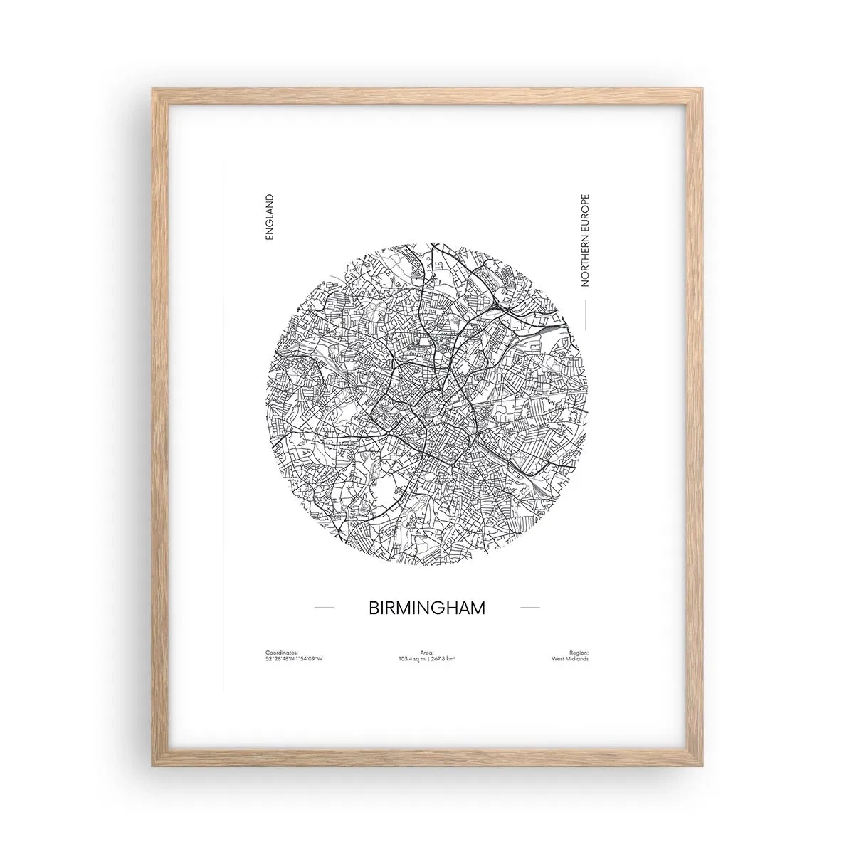 Een poster in een licht eiken lijst - Anatomie van Birmingham - 40x50 cm