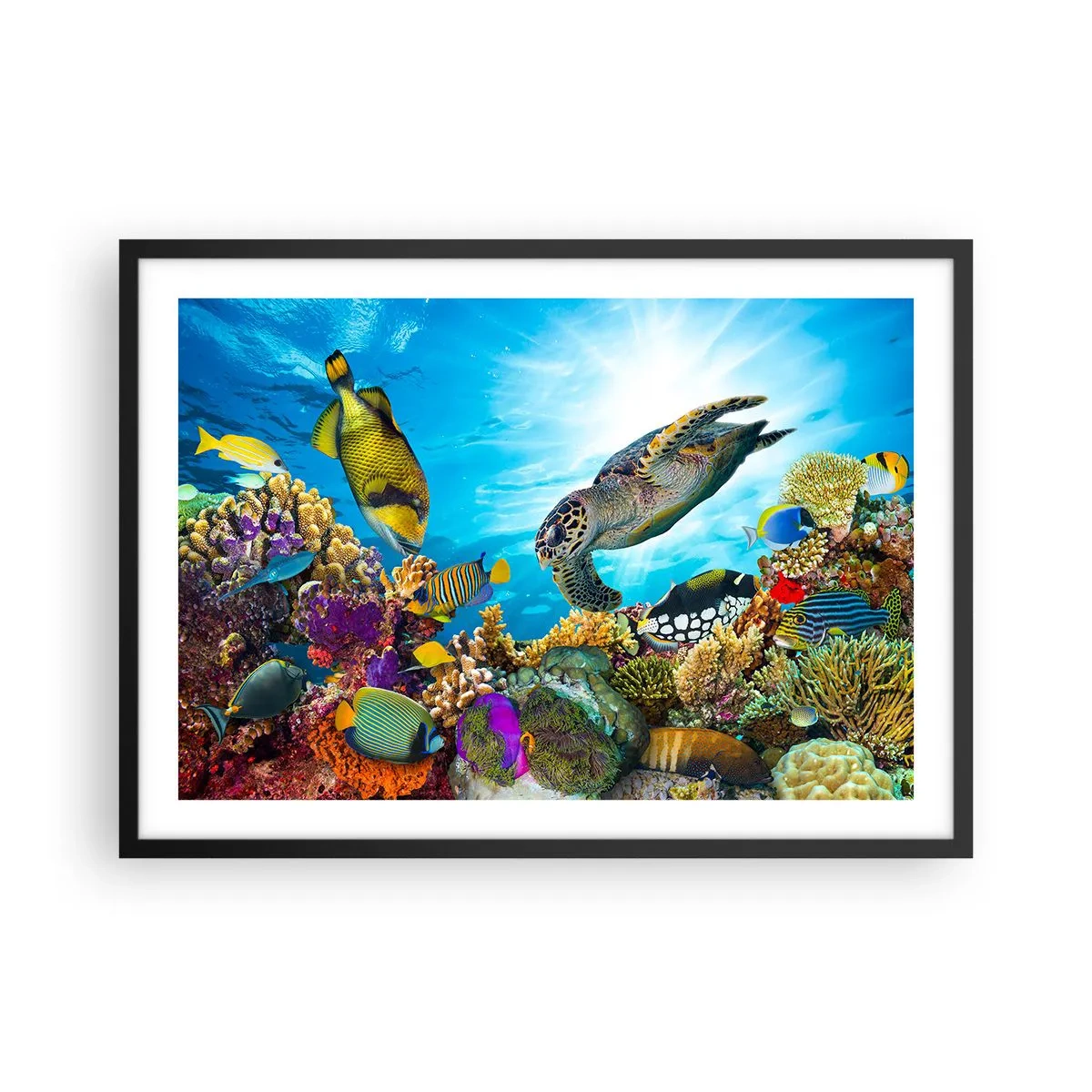 Poster in een zwarte lijst - Koraalpromenade - 70x50 cm