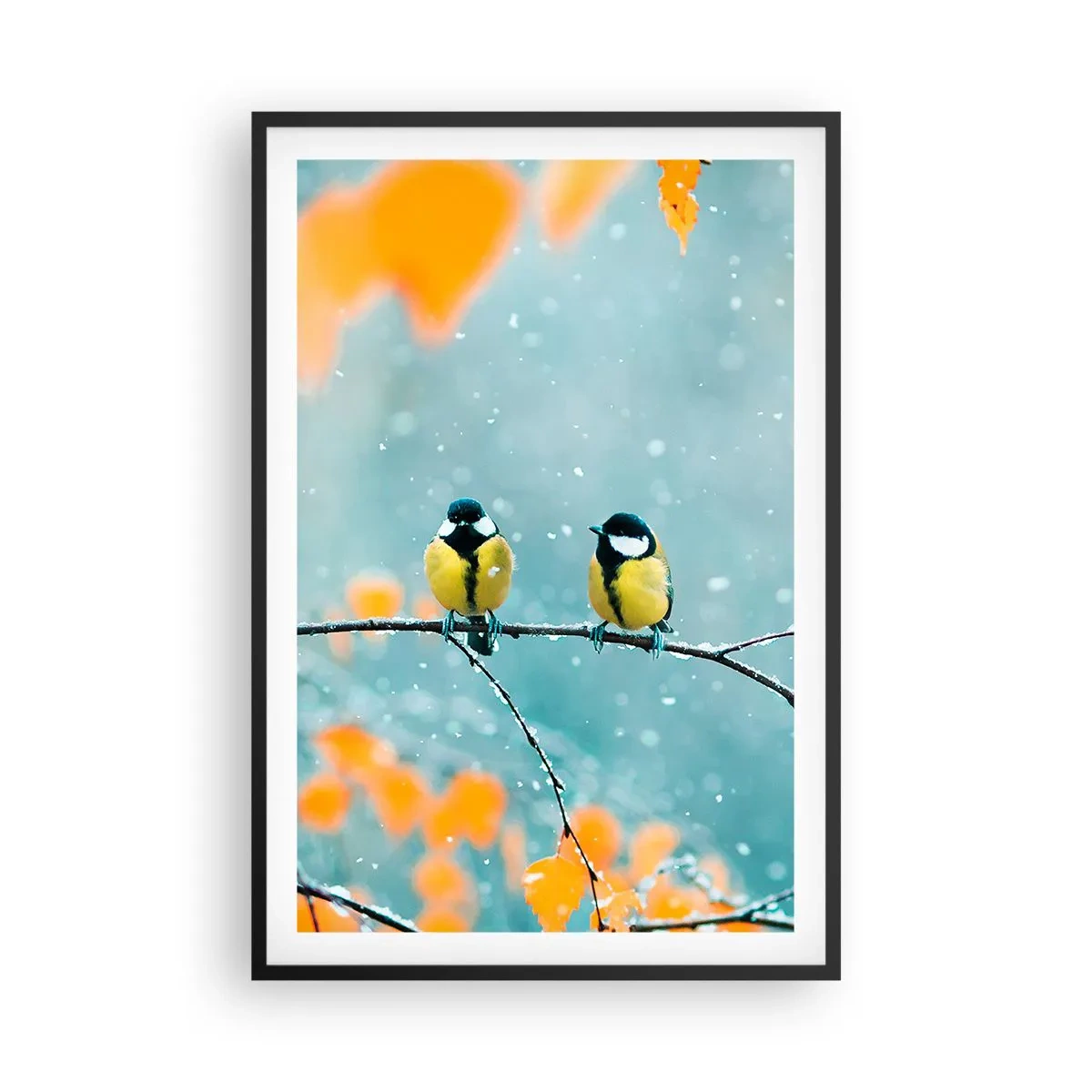 Poster in een zwarte lijst - Vogelroddel - 61x91 cm