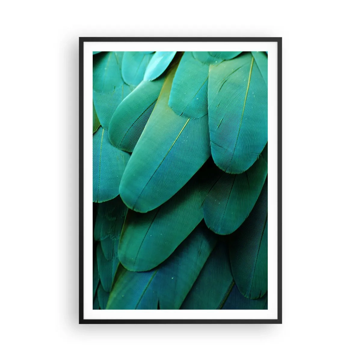 Poster in een zwarte lijst - Papegaaiachtige precisie - 70x100 cm