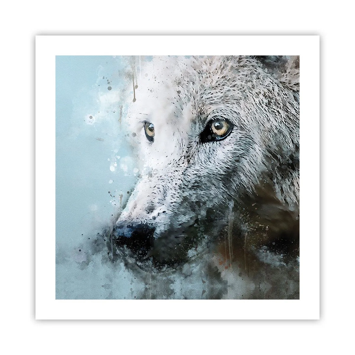 Poster - Ontmoet de wolvenziel - 50x50 cm