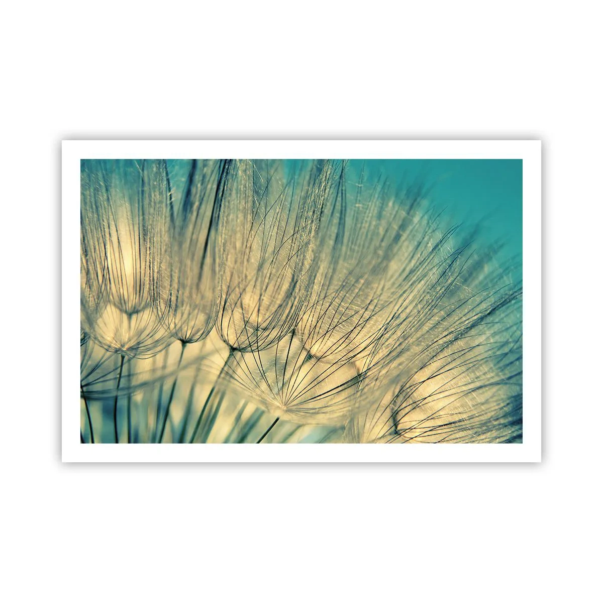 Poster - In afwachting van de wind - 91x61 cm