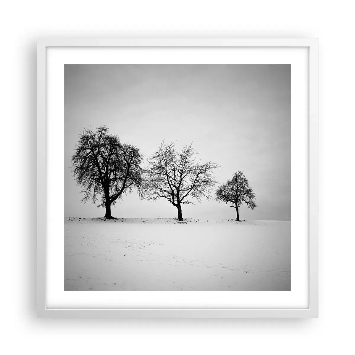 Poster in een witte lijst - Waar dromen ze over? - 50x50 cm